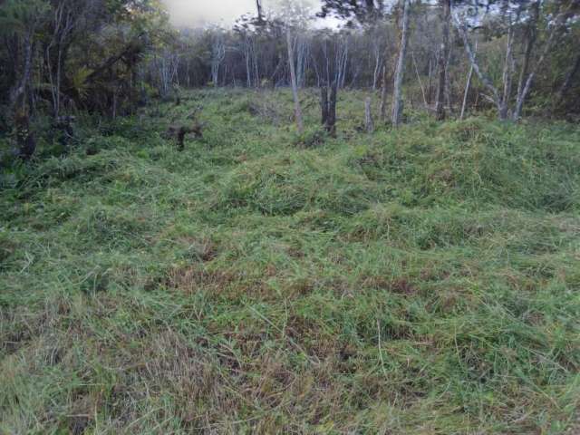 Terreno para Venda em Peruíbe, Jardim San Francisco