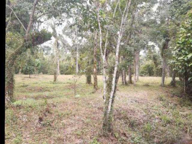 Terreno para Venda em Itanhaém, Parque Vergara