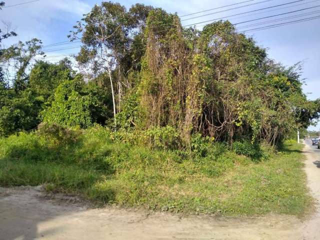 Terreno para Venda em Itanhaém, Estrada Suiça