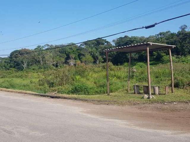 Terreno para Venda em Itanhaém, Coronel