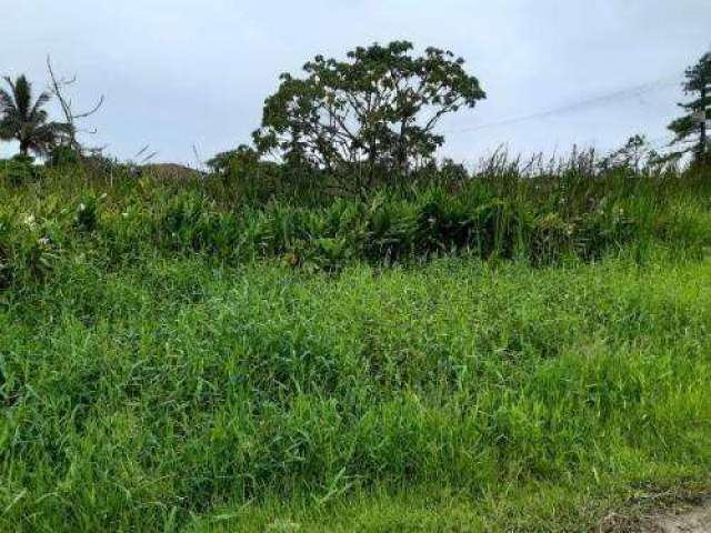 Terreno para Venda em Itanhaém, Palmeiras