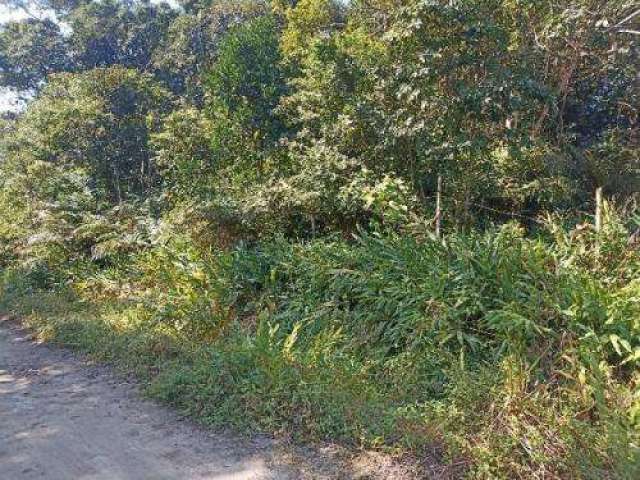 Terreno para Venda em Itanhaém, São Fernando