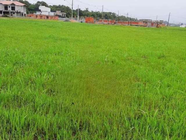 Terreno para Venda em Peruíbe, Jardim Márcia, 2 dormitórios, 1 banheiro, 2 vagas