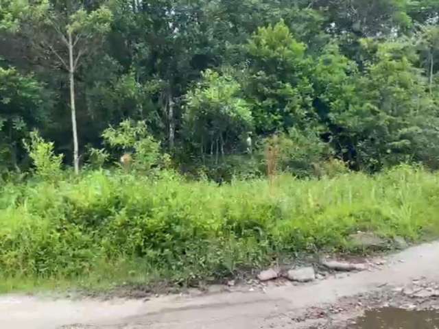 Terreno para Venda em Itanhaém, São Fernando