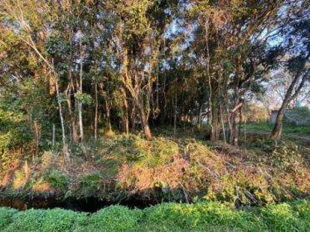 Terreno para Venda em Itanhaém, Gaivota