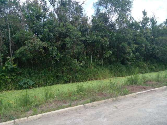 Terreno para Venda em Itanhaém, Coronel