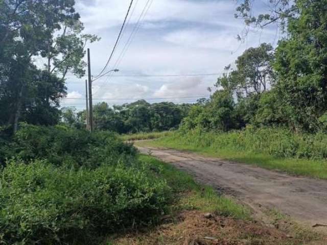 Casa para Venda em Itanhaém, Coronel, 3 dormitórios, 2 banheiros, 3 vagas