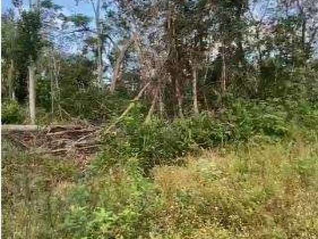 Terreno para Venda em Itanhaém, Parque Evelyn