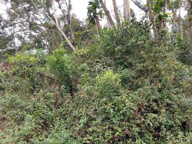 Terreno para Venda em Itanhaém, Coronel