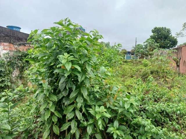 Terreno para Venda em Itanhaém, Iemanjá