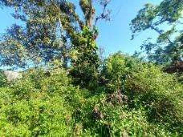 Terreno para Venda em Itanhaém, Coronel