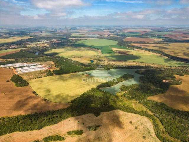 Sítio à venda, 326700 m² por R$ 6.100.000,00 - Campina Monte Alegre - Campina do Monte Alegre/SP