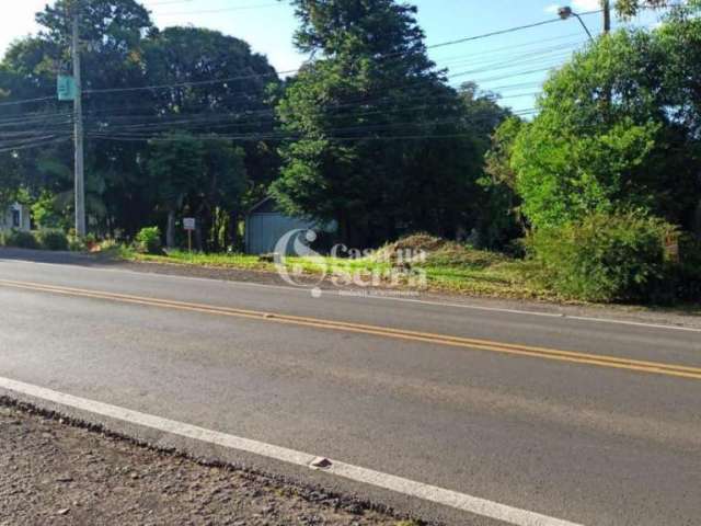 AMPLO TERRENO ÀS MARGENS DA RS-235 EM NOVA PETRÓPOLIS, A 5MIN DA PRAÇA DAS FLORES, Centro, Nova Petropolis - RS