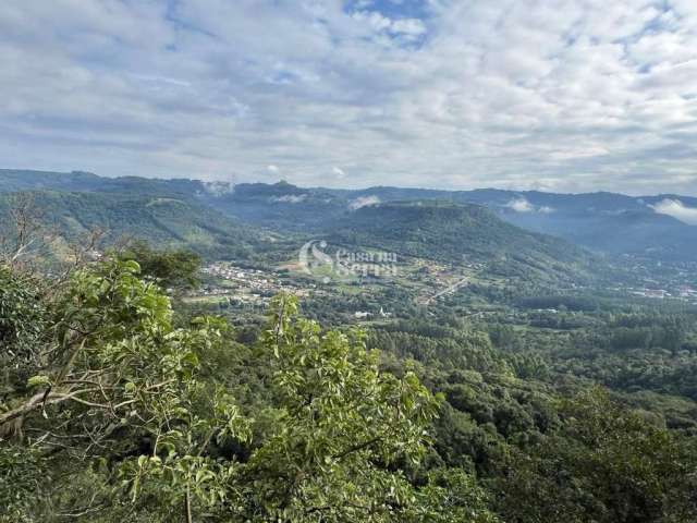 ÁREA COM VISTA ESPETACULAR DE PICADA CAFÉ/RS, Quatro Cantos, Picada Cafe - RS