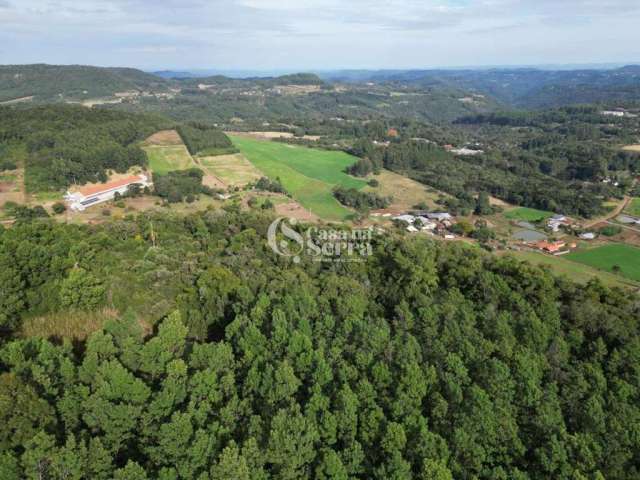 ÁREA DE TERRA À VENDA EM NOVA PETRÓPOLIS, Linha Imperial, Nova Petropolis - RS