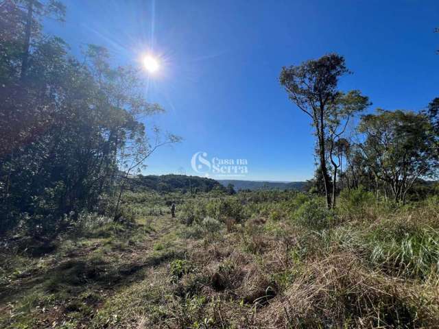 ÁREA DE TERRA COM 4 HECTARES EM NOVA PETRÓPOLIS/RS, Linha Imperial, Nova Petropolis - RS