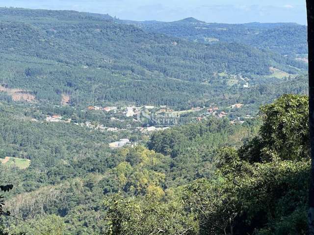 ÁREA DE TERRAS COM LINDA VISTA EM NOVA PETRÓPOLIS, Linha Olinda, Nova Petropolis - RS