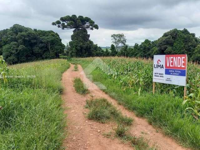 Área Rural para Venda em Campo Largo, Colônia Figueiredo