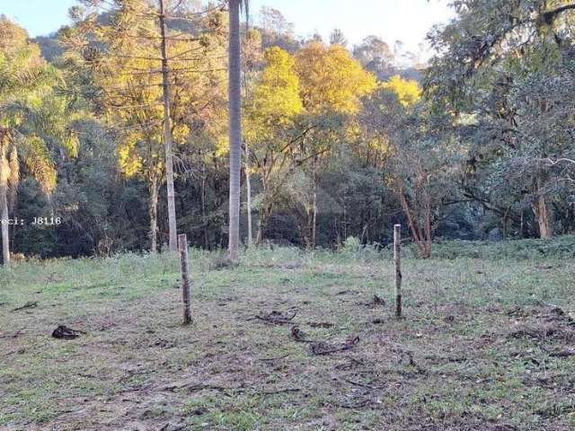 Área Rural para Venda em Campo Largo, Bateias