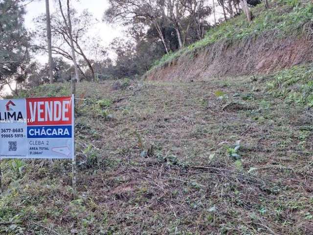 Área Rural para Venda em Campo Largo, Bateias