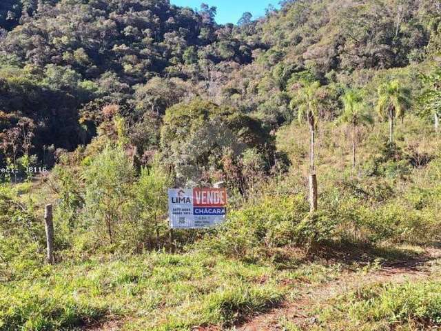 Área Rural para Venda em Campo Largo, Bateias