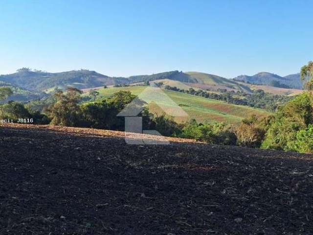 Área Rural para Venda em Campo Magro, Zona Rural