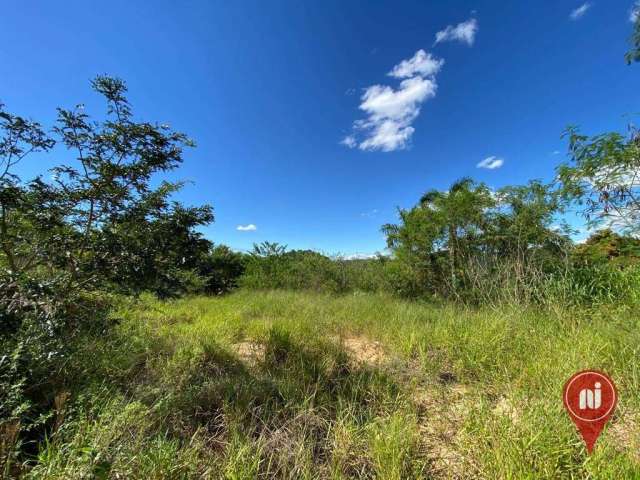 Terreno à venda, 4000 m² por R$ 400.000,00 - Condomínio Quintas do Rio das Águas Claras - Brumadinho/MG