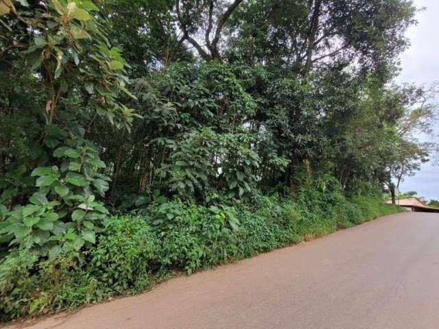 Terreno à venda, 575 m² por R$ 180.000,00 - Monte Cristo  - Brumadinho/MG