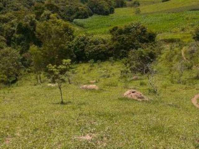 Área à venda, 61,5 hectares por R$ 2.450.000