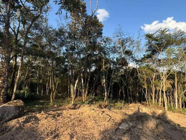 Terreno à venda, 1000 m² por R$ 200.000 - Condomínio Quintas do Brumado - Brumadinho/MG