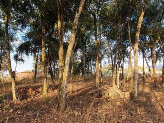 Terreno à venda, 1000 m² por R$ 280.000,00 - Vila Ondina - Mário Campos/MG