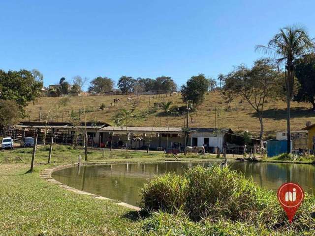 Fazenda à venda, 100000 m² por R$ 4.000.000 - Charneca - Betim/MG