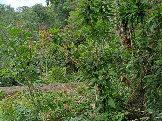 Chácara com total equilíbrio na natureza