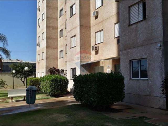 Apartamento a venda  46m² com 2 quartos em condomínio no Campos Elíseos