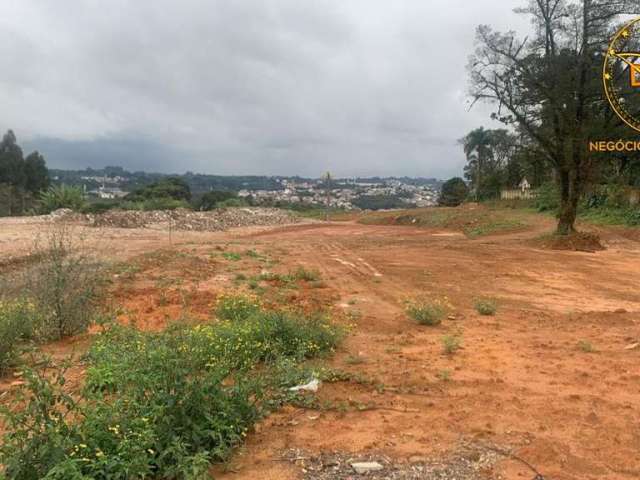 Área Galpão para Venda em Colombo, Roça Grande