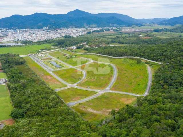 Parque do Lago