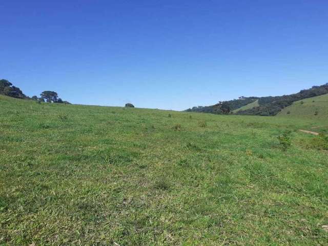 Fazenda / Sítios / Chácaras com 3 quartos à venda em São Gonçalo Do Sapucaí