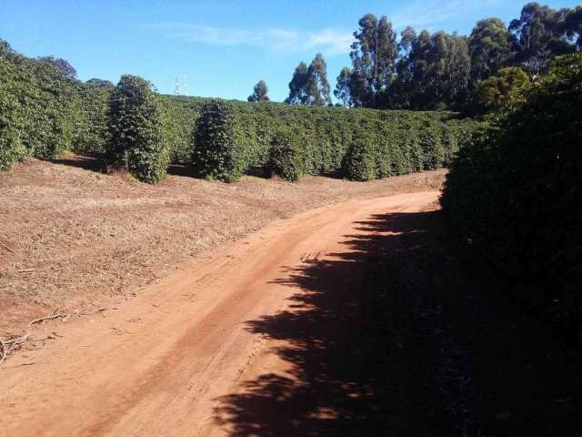 Fazenda / Sítios / Chácaras com 3 quartos à venda em Lambari