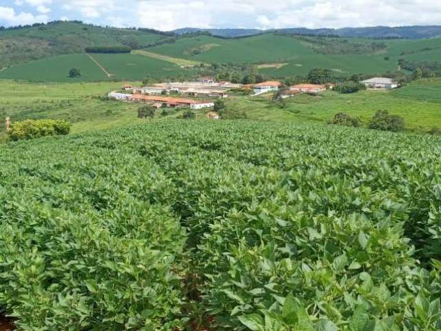 Fazenda / Sítios / Chácaras com 6 quartos à venda em Carmo De Minas