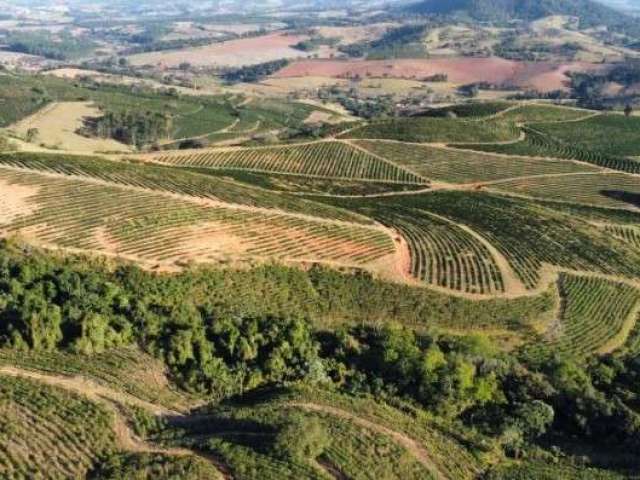 Fazenda / Sítios / Chácaras com 3 quartos à venda em Caconde