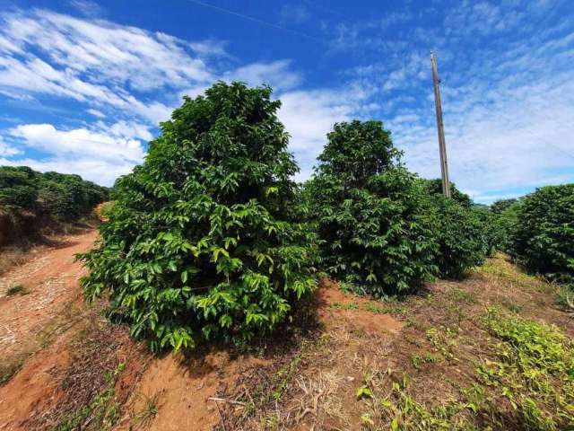 Fazenda / Sítios / Chácaras com 4 quartos à venda em Ouro Fino