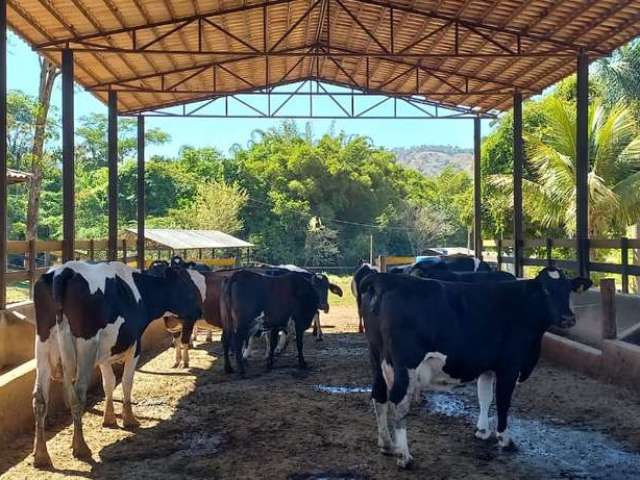 Fazenda / Sítios / Chácaras com 4 quartos à venda em Piracema