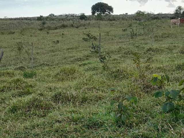 Fazenda / Sítios / Chácaras à venda em São Roque De Minas