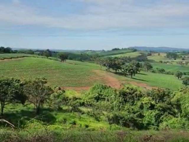 Fazenda / Sítios / Chácaras com 3 quartos à venda em Campanha