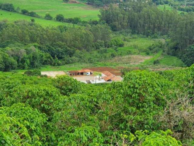 Fazenda / Sítios / Chácaras com 2 quartos à venda em Heliodora