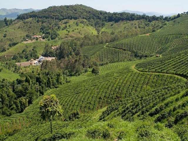 Fazenda / Sítios / Chácaras com 6 quartos à venda em Conceição Do Rio Verde