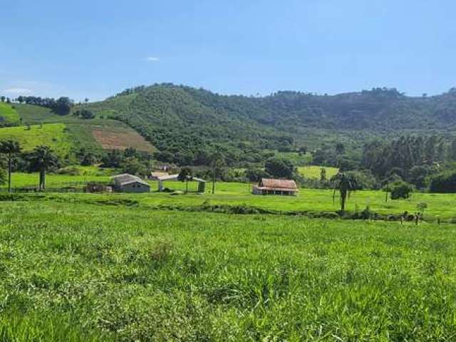 Fazenda / Sítios / Chácaras com 2 quartos à venda em São Sebastião Da Bela Vista