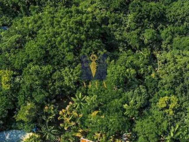 Casa à venda no bairro Ponta Grossa - Ubatuba/SP