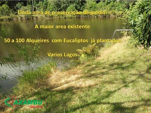 Serra do Japi - area de preservação a maior e melhor da região varios lagos e varias residencia em jundiai e plantação de eucalipto