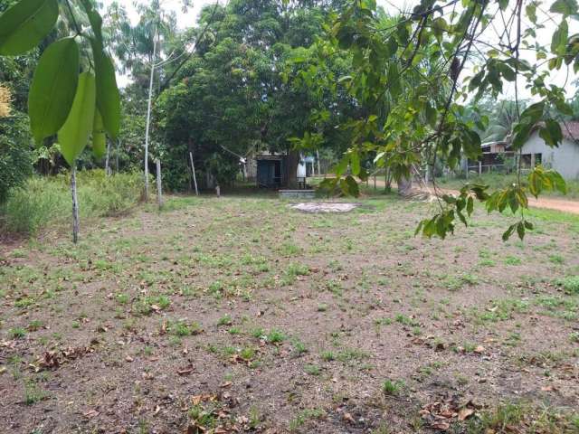 Terreno para Venda em Presidente Figueiredo, Ramal da Morena, 1 dormitório, 1 banheiro